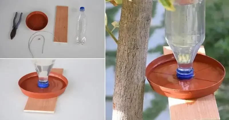 Disque En Cuivre Pour Abreuvoir à Oiseaux - Support Triangulaire, Nettoyage Facile, Pour Jardin Ou Terrasse