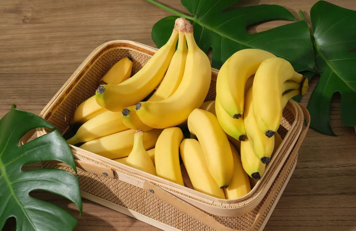 Comment conserver les bananes à l’air libre, au frigo ou