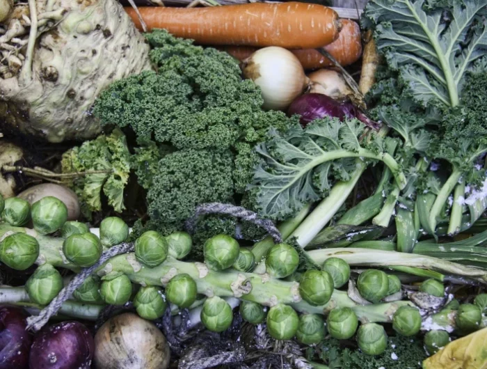 comment conserver fruits et legumes sans frigo des legumes a conserver