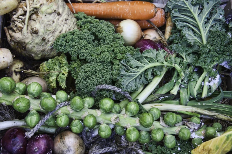comment conserver fruits et legumes sans frigo des legumes a conserver