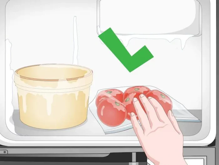 comment conserver les tomates au congelateur illutsration d un congelateur avec la bonne methode