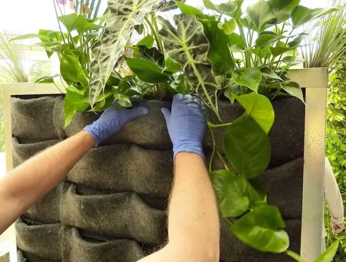 comment construire un mur vegetal exterieur avec poche en feutre