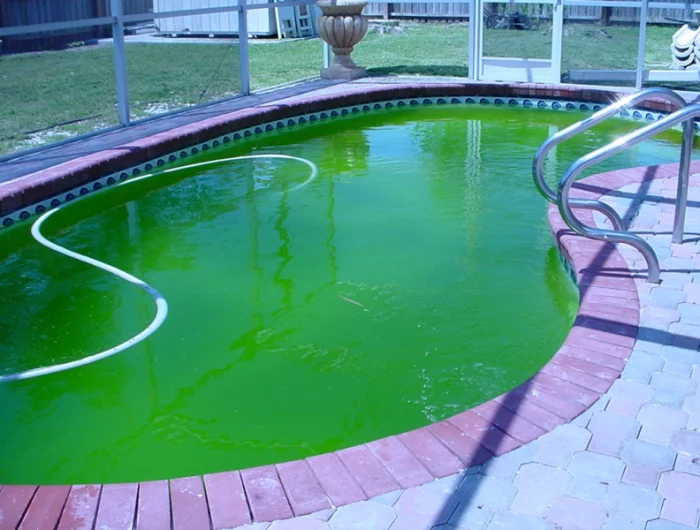 comment rattraper une eau de piscine verte un bassin d eau verte