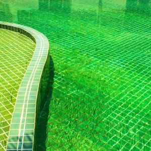 Comment rattraper une eau de piscine verte ? L'astuce insolite d'une vraie mamie