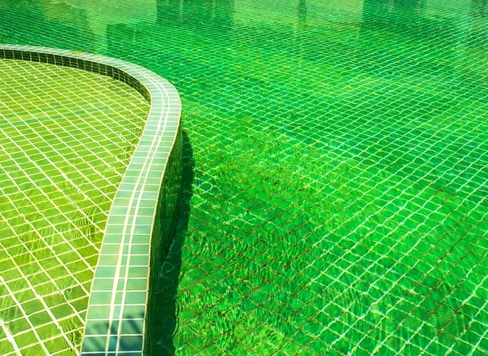 comment rattraper une piscine verte en moins de 48h eau verte d'une grande pisicne