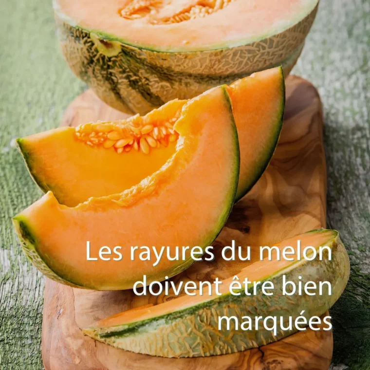 comment savoir si un melon est mur de par ses rayures