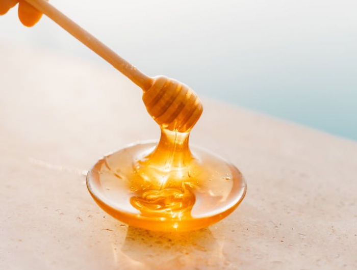 comment se débarrasser des moucherons dans les plantes utiliser du miel