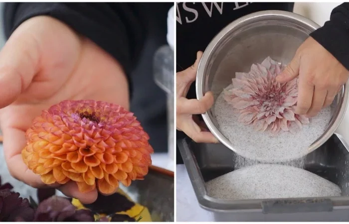 comment secher des fleurs avec gel de silice