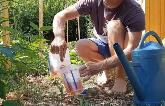 comment utiliser l'urine au jardin un homme qui melange l urine avec de l eau