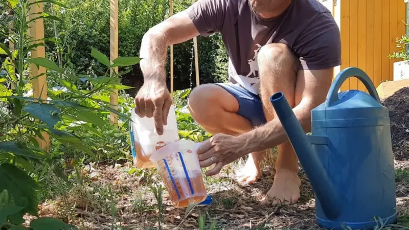 comment utiliser l'urine au jardin un homme qui melange l urine avec de l eau