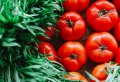 Que faire avec des tomates fraîches du jardin : les meilleures idées de conservation à tester absolument !