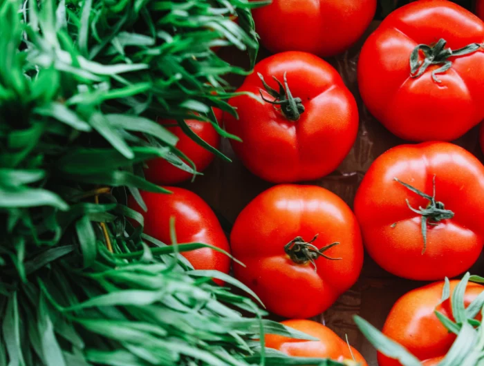 consommation tomate fraiche bienfait organisme manger des legumes