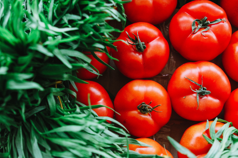 consommation tomate fraiche bienfait organisme manger des legumes
