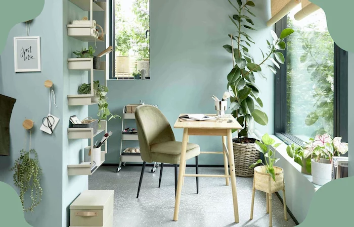 decoration sauge vert dans une cuisine avec des plantes
