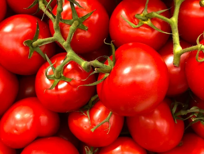 des tomates bien rouges