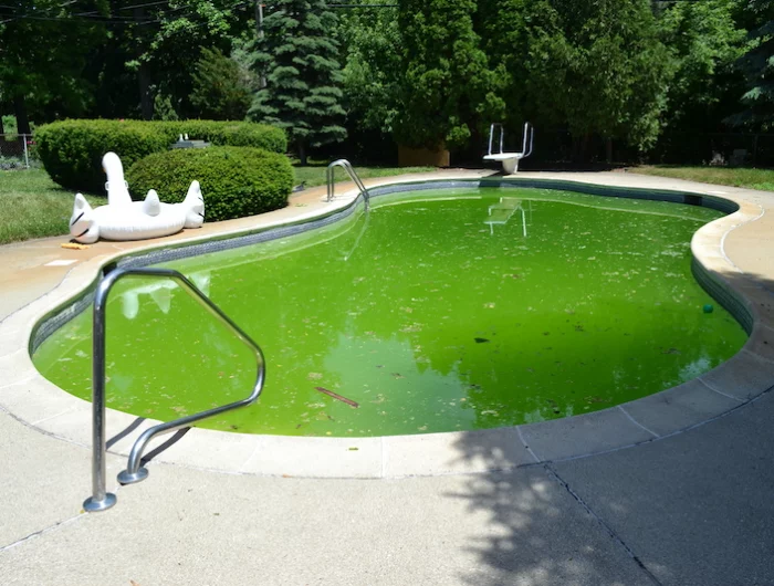 eau verte piscine bicarbonate de soude une piscine avec de l'eau verte et les algues