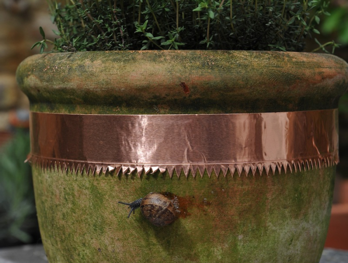 eliminer les limaces et escargots ruban de cuivre autour dun pot