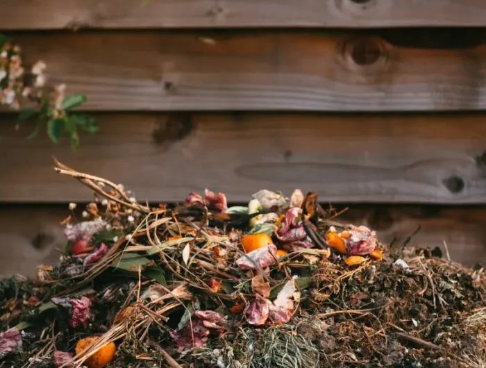 engrais riche en potassium naturel compost pour le jardin