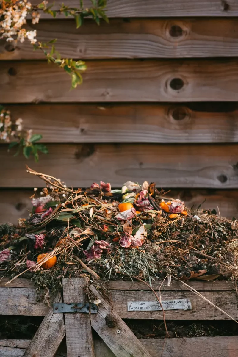 engrais riche en potassium naturel compost pour le jardin