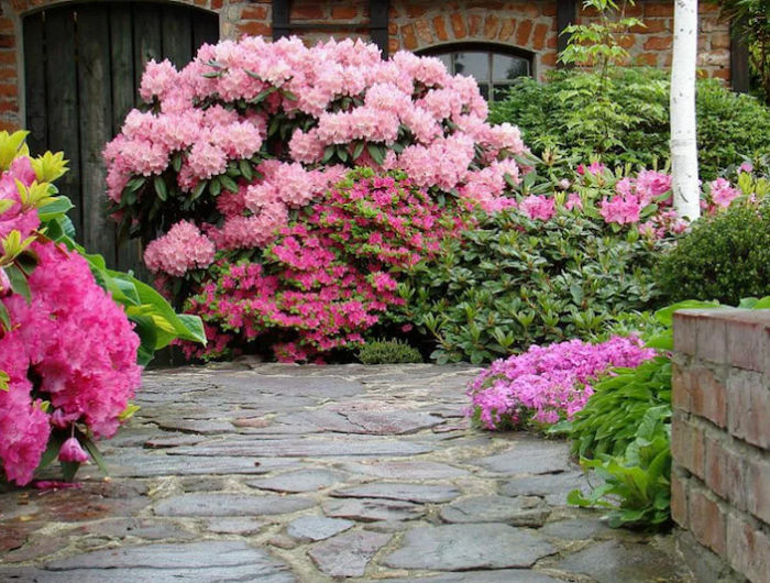 fleurs d'ombre vivaces longue floraison fleurs en differentes couleurs devant une maison