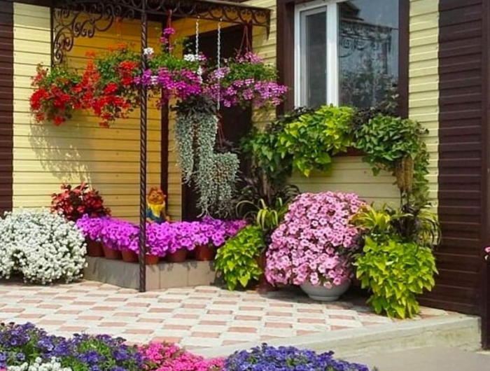 fleurs vivaces longue floraison mi ombre fleurs de diverses couleurs devant une maison