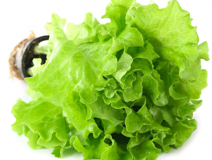 iode aliments salade verte