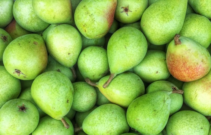 les poires sont riches en nutriments et fibres bonnes pour la sante