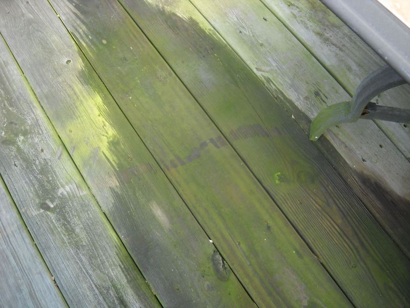 nettoyage d'une terrasse en bois une terrasse en bois avec de la mousse