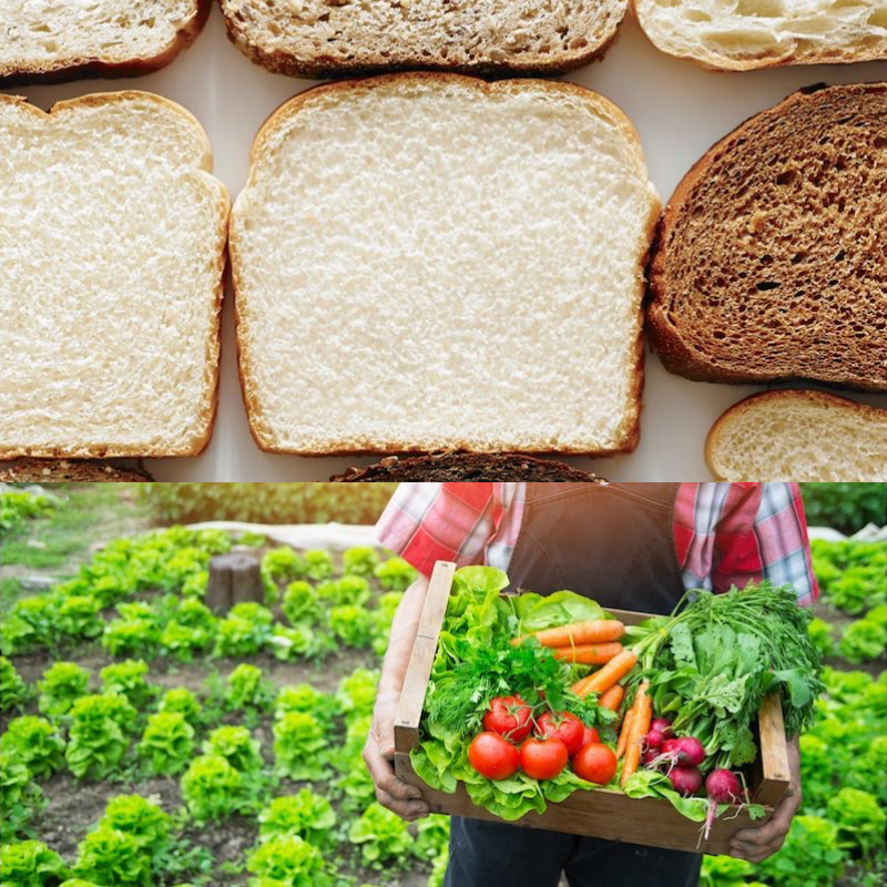 nourriture des cultures avec du pain pour croissance rapide tranche de pain et legumes dans une cagette