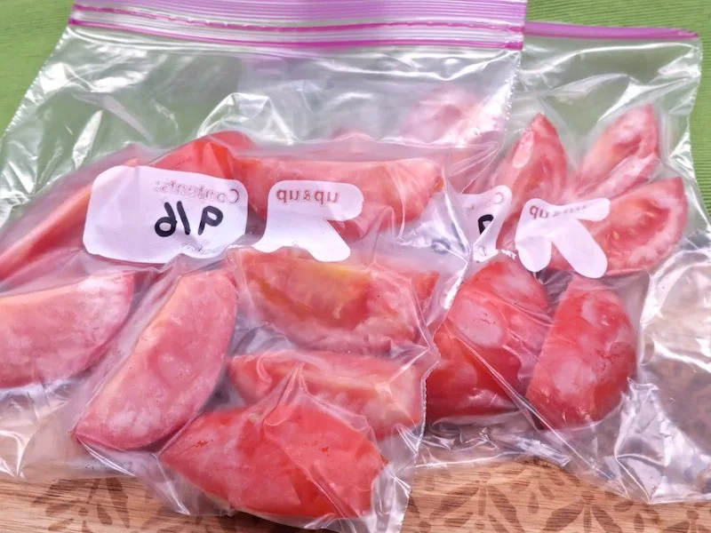 peut on congeler des tomates entieres tomates rouges mises dans des sac de congelation