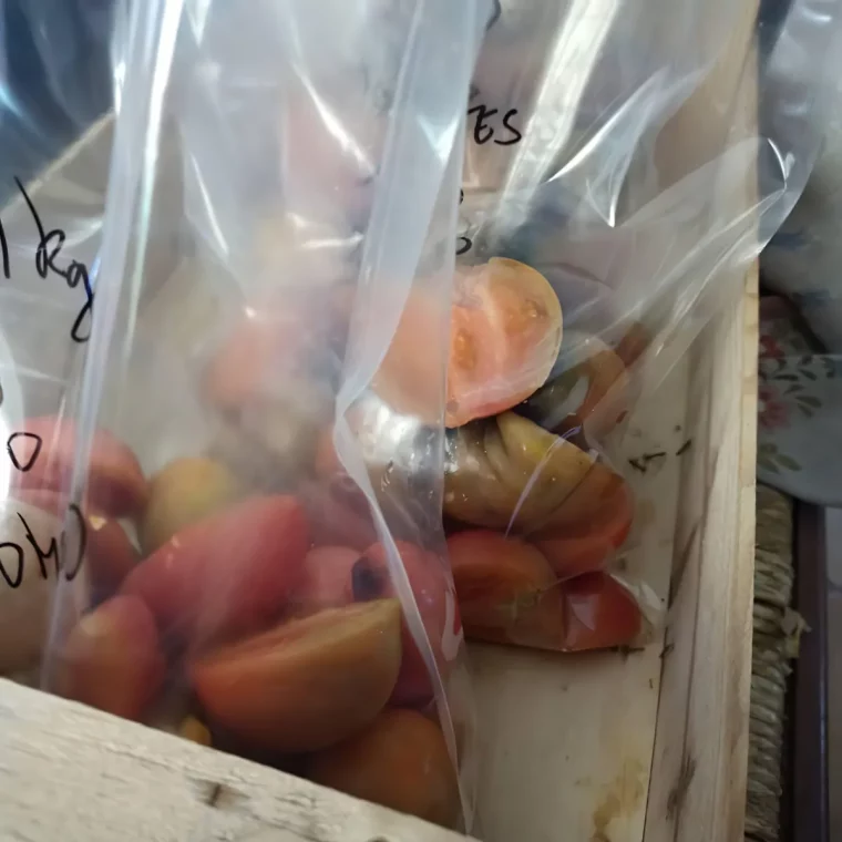 peut on congeler les legumes estivaux en sac en plastique