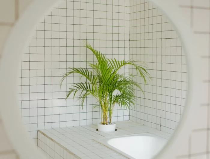 plante verte carrelage blanche salle de bain avec baignoire miroir rond