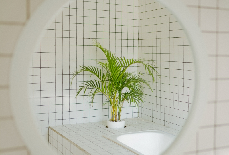 plante verte carrelage blanche salle de bain avec baignoire miroir rond