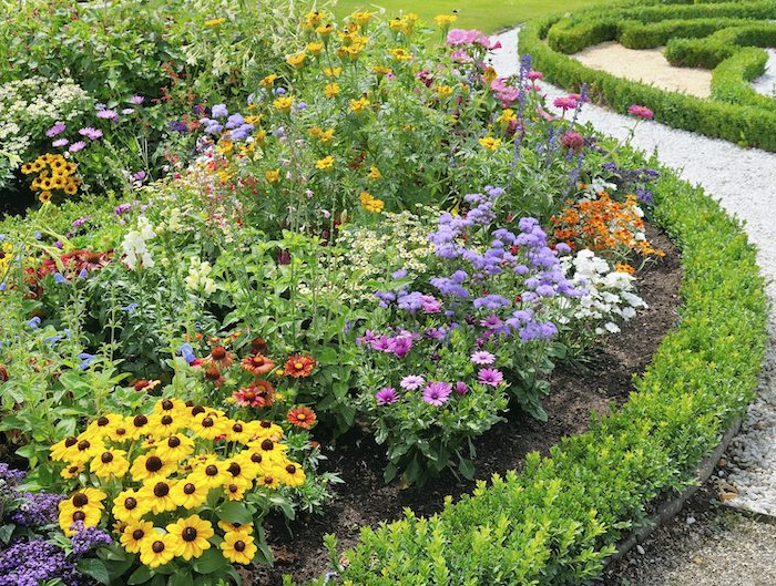 plante vivace longue floraison un jardin avec des fleurs rose rouge et jaune et pelouse verte