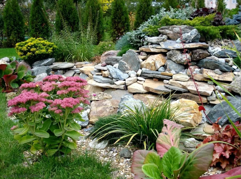 plantes rampantes de rocaille floraison estivale un exmeple de rocaille en jardin