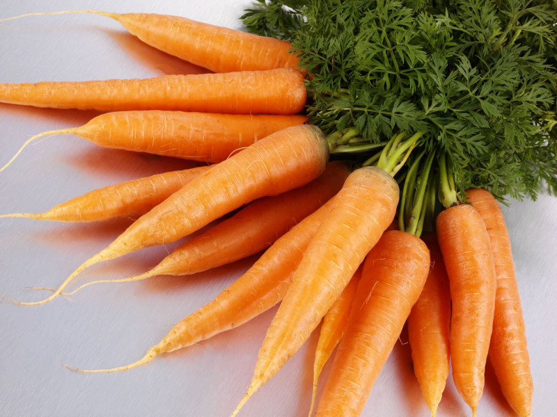 pourquoi manger des carottes chaque jours conseils