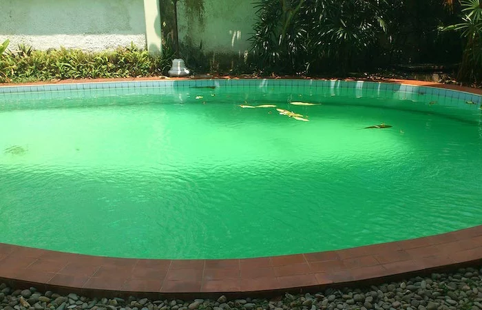 produit miracle eau verte piscine une petite piscine avec eau verte