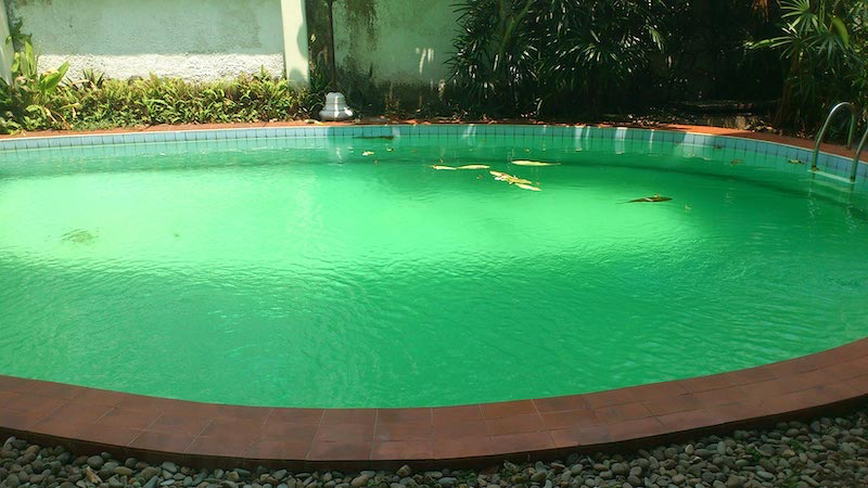 produit miracle eau verte piscine une petite piscine avec eau verte