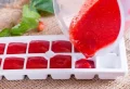 Peut-on congeler des tomates ? Techniques faciles, testées et approuvées