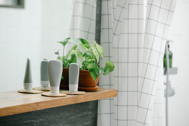 purification air humidite exces salle de bain plante absorbante