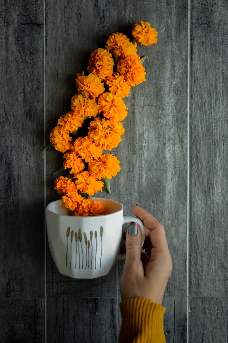 tasse cafe fleurs petales femme main manucure ongles gris