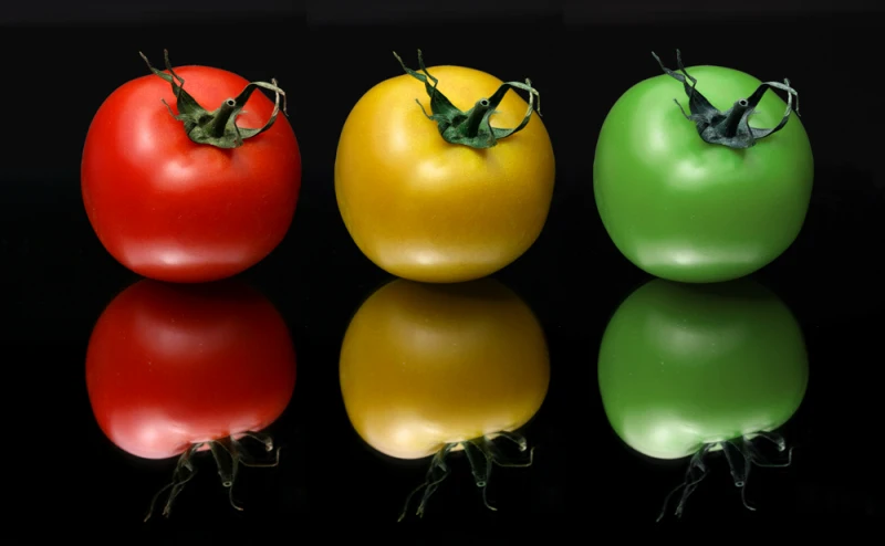 tomate rouge, verte et ornage sur un fond noir