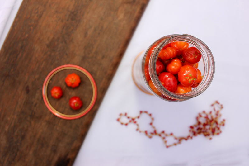 tomates cerises en bocal verre astuces recolte tomates
