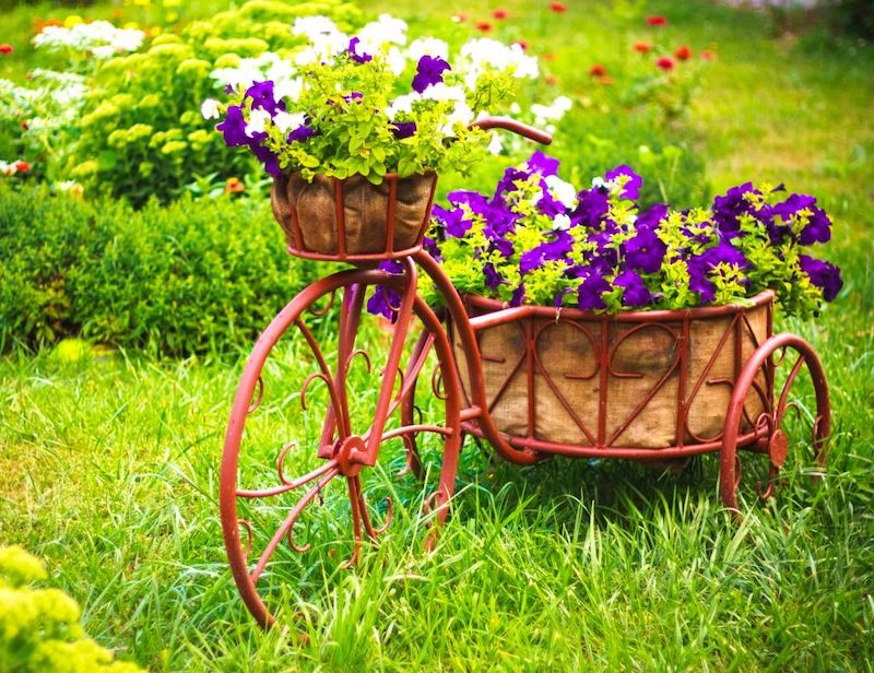 un velo decoratif avec des fleurs en pot de couelur violettes et blanches dans un jardin vert