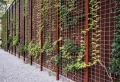 Différentes techniques pour réaliser soi-même un mur végétal extérieur sans entretien