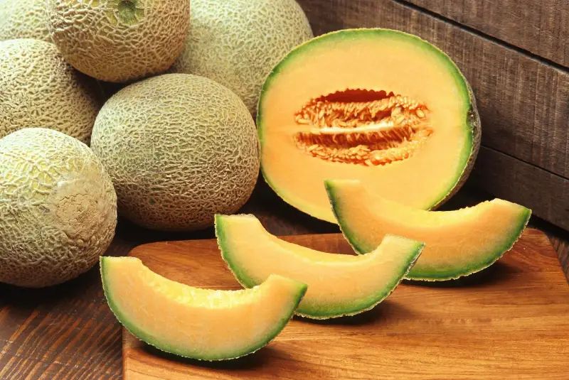 variete melon peau couleur verte ou jaune maturite fruit signes