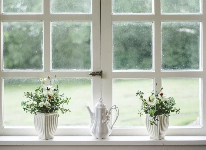 vitre pluie taches tenaces traces eau vase fleurs maison tache menagere