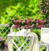 comment fleurir une terrasse en plein soleil ? les 6 variétés résistantes à la canicule terrasse en blanc avec geraniums et vicas
