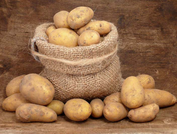 comment savoir si les pommes de terre sont prêtes à récolter patates bien conservees
