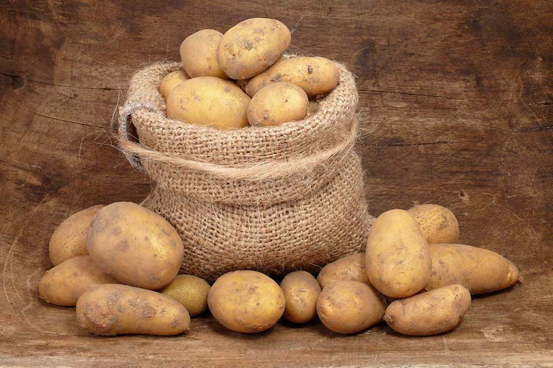 comment savoir si les pommes de terre sont prêtes à récolter patates bien conservees